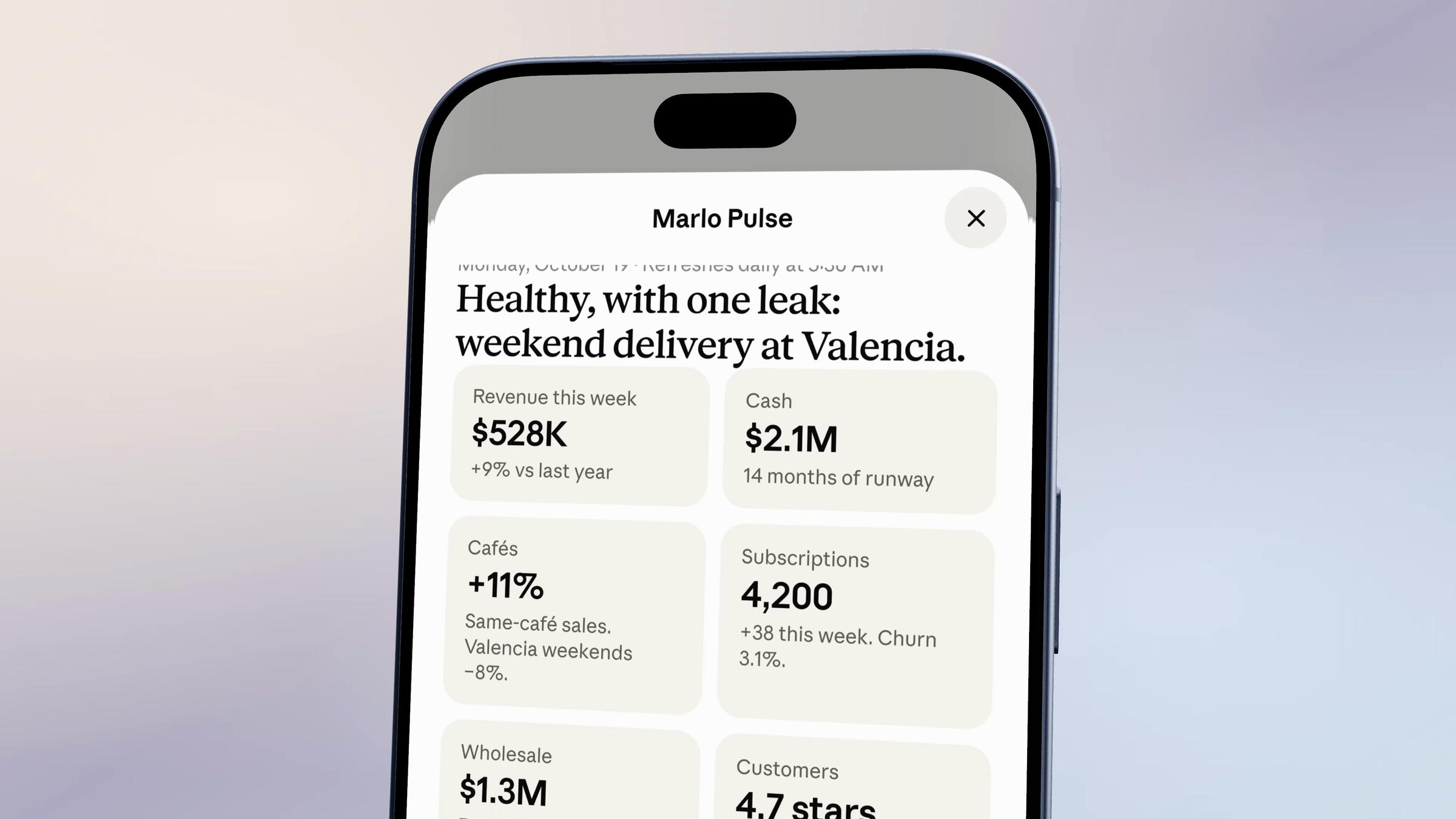 The whole phone showing a business dashboard headed Healthy, with one leak: weekend delivery at Valencia